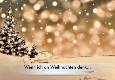 <p style="display:block;"><strong>•</strong> Weihnachtsimpulse am GyLa</p>